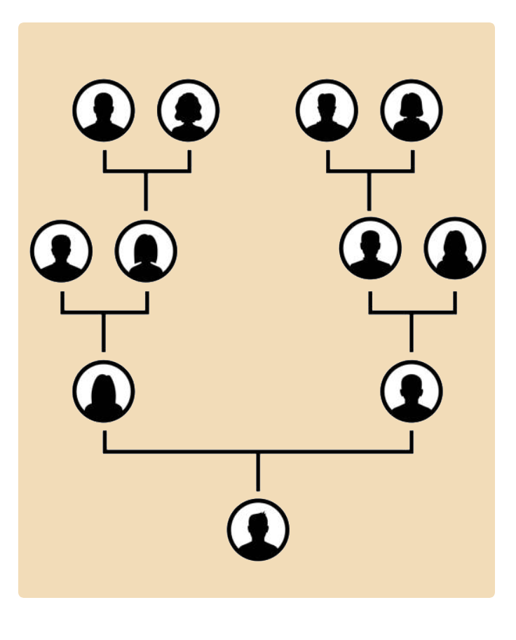 Árbol Genealógico